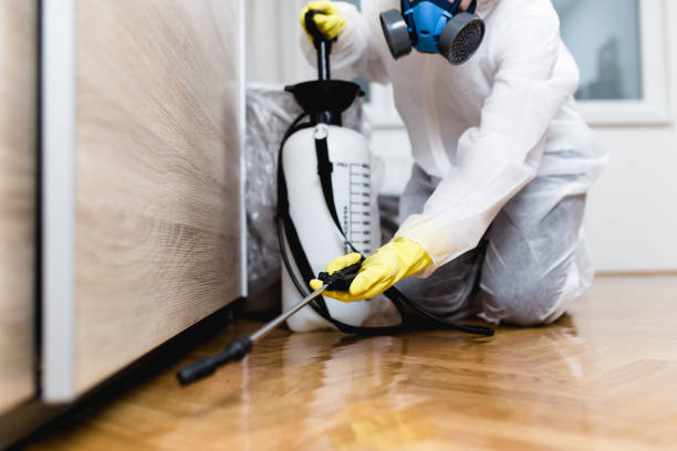 Best Pest Control Near Me in Waynesville, MO
