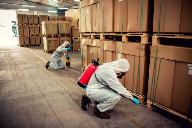Best Cockroach Control Services  in Waynesville, MO