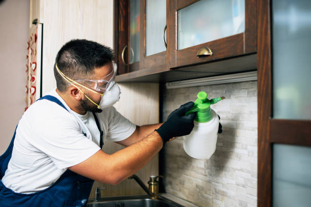 Pest Control Cost in Waynesville, MO