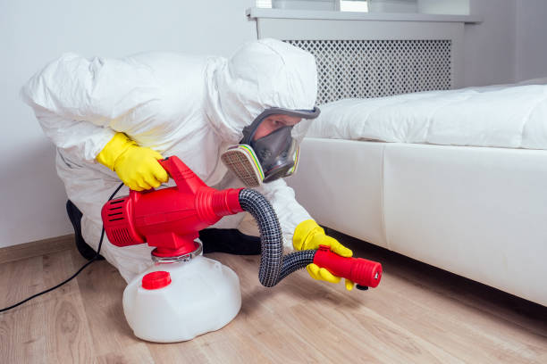 Pest Prevention Services in Waynesville, MO